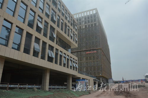 多向發力，激活內江軟件外包服務新動能